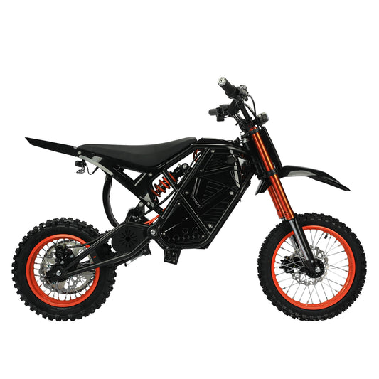 MS2 Electric Bicycle 2000W Fat Tire Ebike For Adults